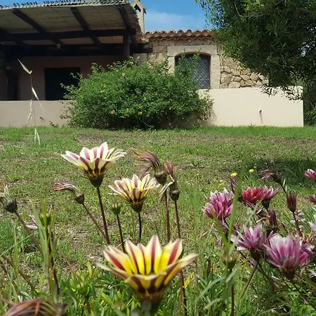 Villa Smeralda Porto Cervo