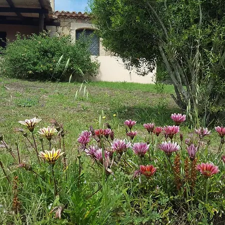 Villa Smeralda *